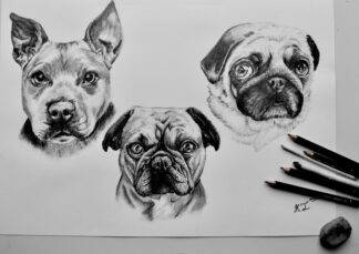Commissions