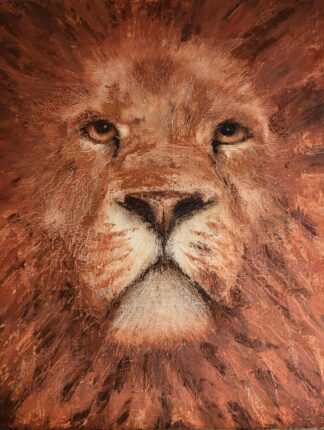 'Lion of Judah'