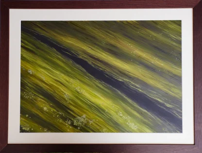 'Hidden tranquility' - Image 2