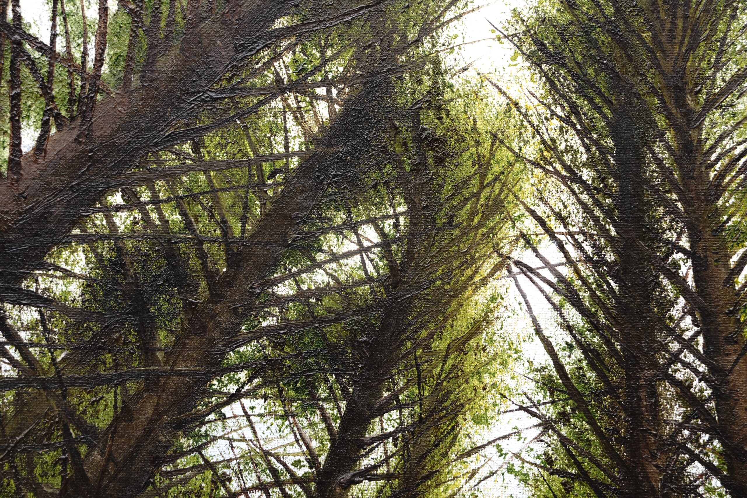 Natures network - Image 3