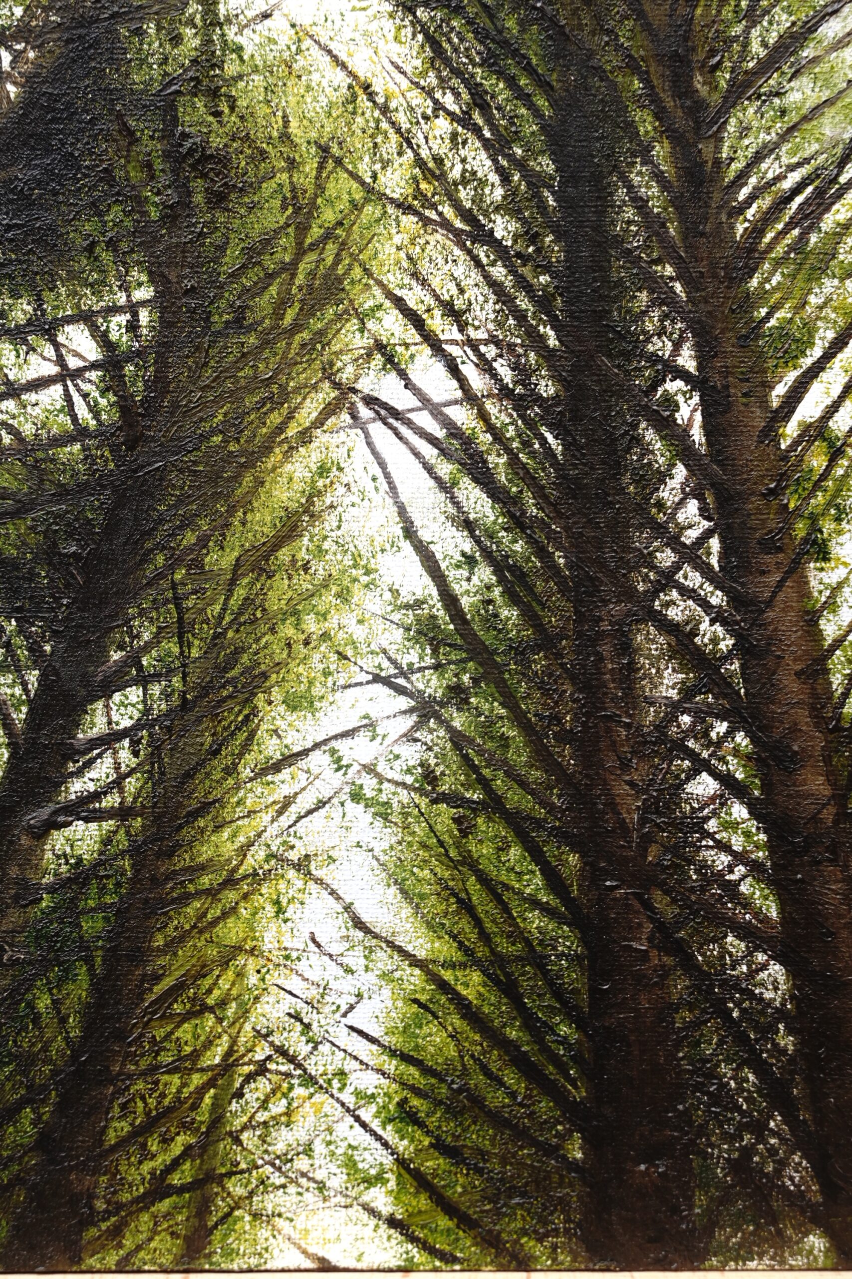 Natures network - Image 4