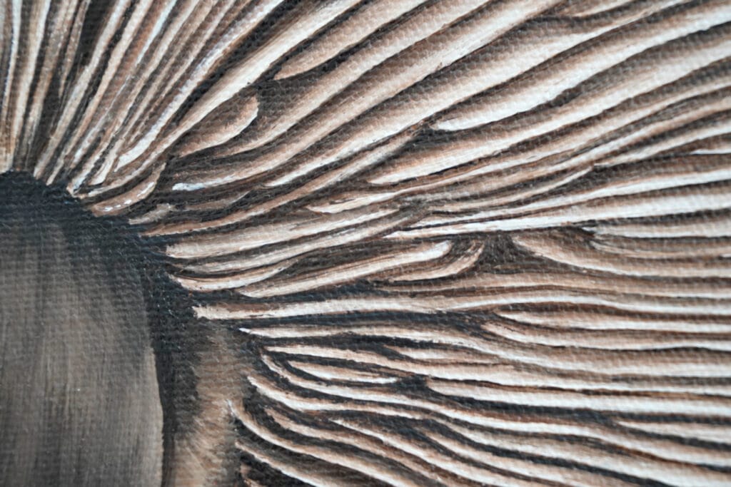 close up of A highly detailed hyperrealist oil painting of the underside of a mushroom, focusing on the intricate, closely packed gills beneath its cap.