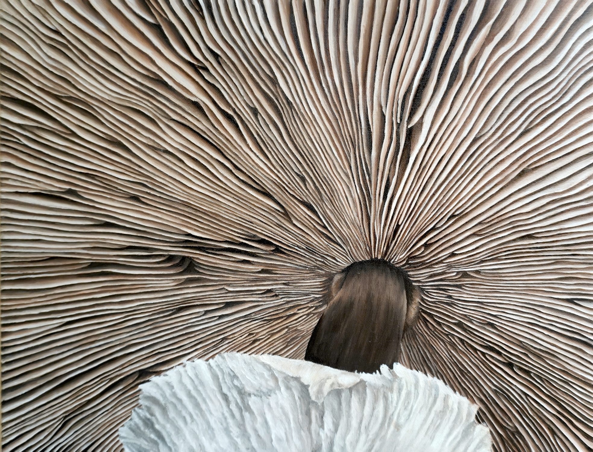 A highly detailed hyperrealist oil painting of the underside of a mushroom, focusing on the intricate, closely packed gills beneath its cap.